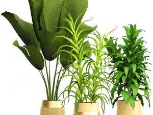 प्लांट सेट 3D मॉडल