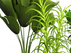 प्लांट सेट 3D मॉडल