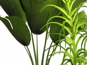 प्लांट सेट 3D मॉडल