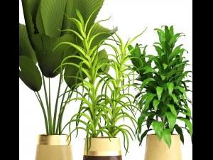 प्लांट सेट 3D मॉडल