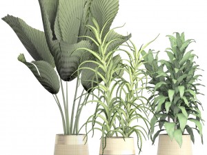 plant set 3D Model