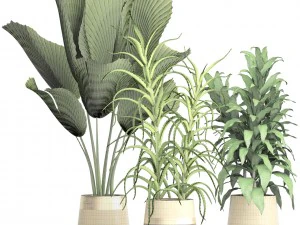 प्लांट सेट 3D मॉडल