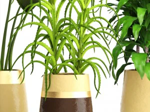 प्लांट सेट 3D मॉडल