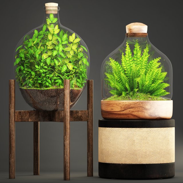 florarium Model 3D .c4d .max .obj .3ds .fbx .stl .blend 