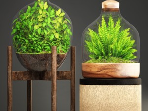 florarium 3D Model