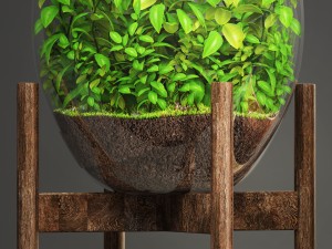 florarium Model 3D