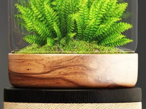 florarium Model 3D