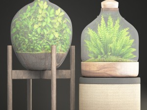 florarium Model 3D