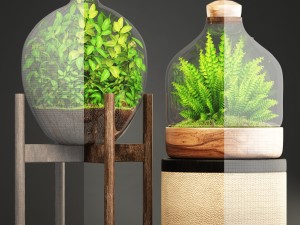florarium Model 3D