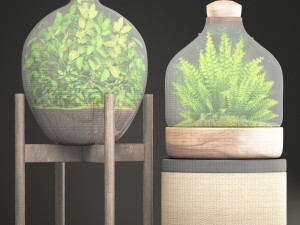 florarium Model 3D