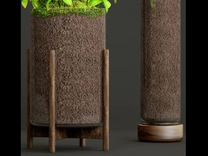 potted plants fern 3D Model