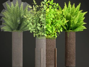potted plants fern 3D Model