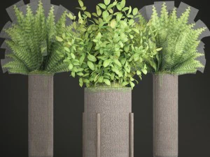 potted plants fern 3D Model