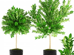 topiary trees 3D Model