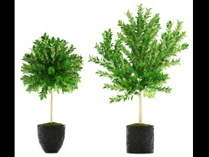 topiary trees 3D Model