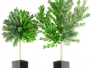 topiary trees 3D Model