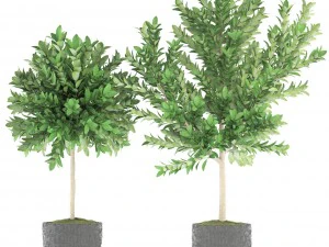 topiary trees 3D Model