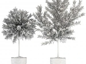 topiary trees 3D Model