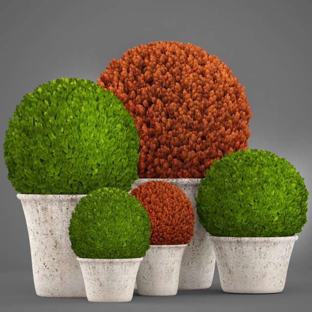 topiary bush buxus Modèle 3D .c4d .max .obj .3ds .fbx .stl .blend 