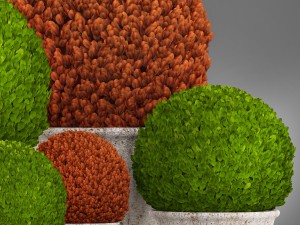 topiary bush buxus Modèle 3D