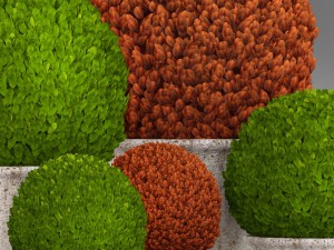 topiary bush buxus Modèle 3D