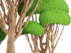 bonsai tree 3D मॉडल