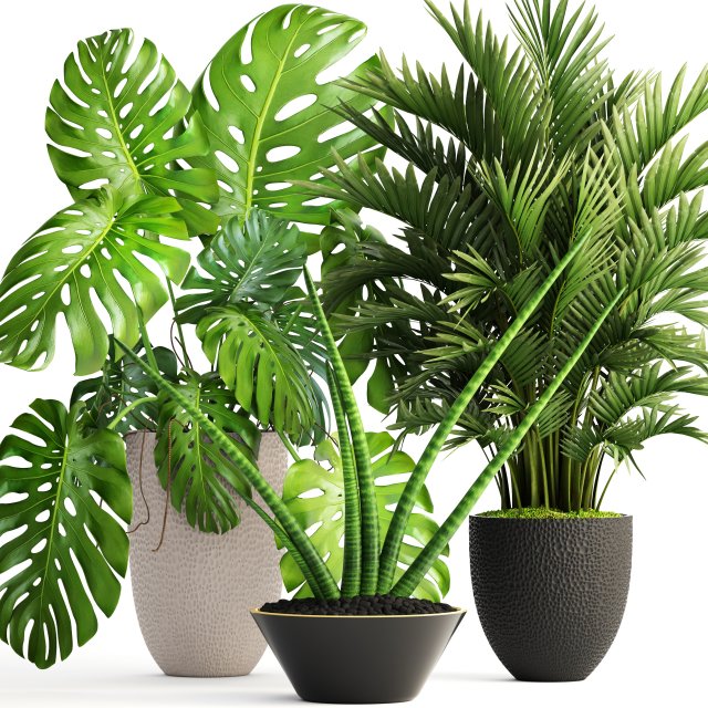 collection of plants 3D Model .c4d .max .obj .3ds .fbx .stl .blend 