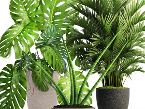 collection of plants 3D Model
