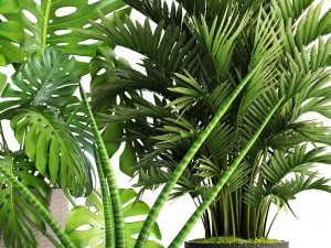 collection of plants 3D Model