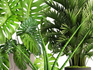 collection of plants 3D Model