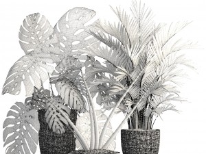 collection of plants 3D Model