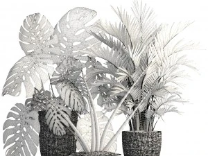 collection of plants 3D Model