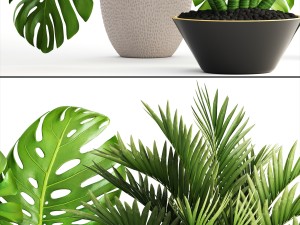 collection of plants 3D Model