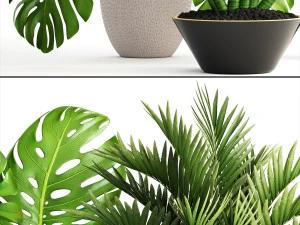 collection of plants 3D Model