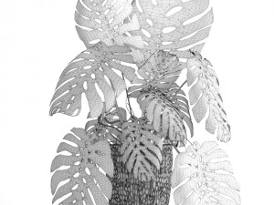 monstera 3D Model