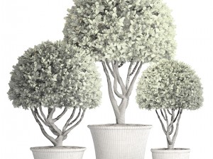 topiary trees 3D Model