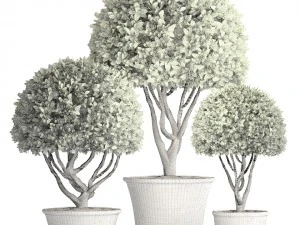alberi topiaria Modello 3D