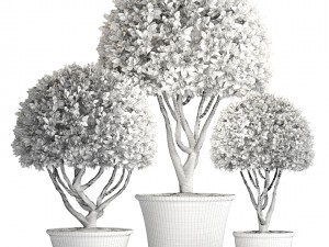 topiary trees 3D Model