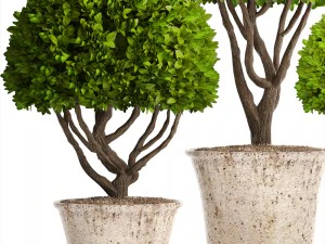 alberi topiaria Modello 3D