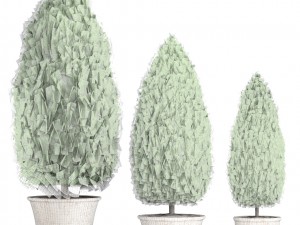 cupressus and thuja Modello 3D