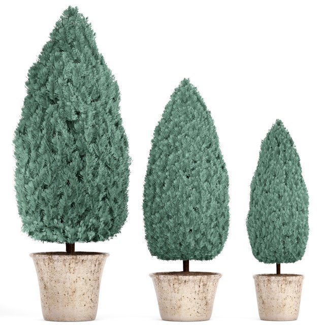 cupressus and thuja blue Modello 3D .c4d .max .obj .3ds .fbx .stl .blend 