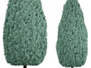 cupressus and thuja blue 3D Model