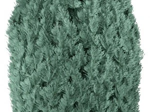 cupressus and thuja blue 3D Model