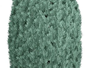 cupressus and thuja blue 3D Model