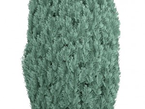 cupressus and thuja blue Modello 3D