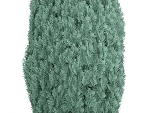 cupressus and thuja blue 3D Model