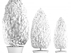 cupressus and thuja blue 3D Model