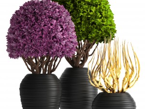 ornamental tree 3D मॉडल