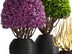 ornamental tree 3D मॉडल