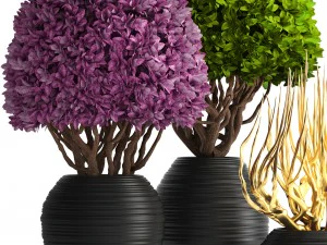 ornamental tree 3D Model